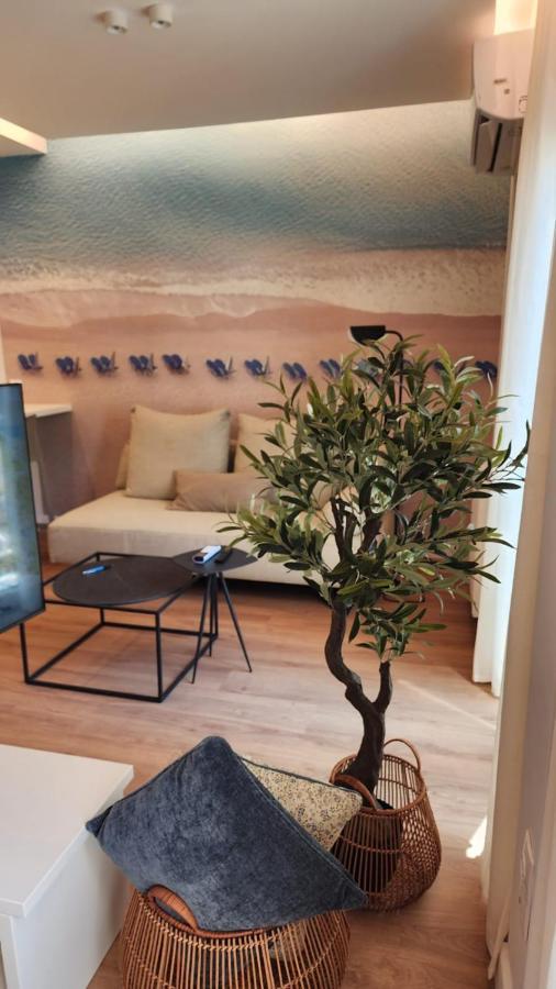 Renovated Apartment With Roof Garden Access, 15 M Walk To Acropolis 雅典 外观 照片